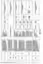 Fig. 10 - Antibacterial phage, phage peptides and methods of use thereof
