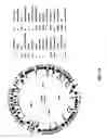 Fig. 110 - Antibacterial phage, phage peptides and methods of use thereof