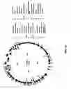 Fig. 162 - Antibacterial phage, phage peptides and methods of use thereof