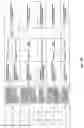 Fig. 167 - Antibacterial phage, phage peptides and methods of use thereof