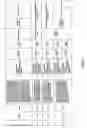 Fig. 19 - Antibacterial phage, phage peptides and methods of use thereof