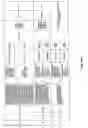 Fig. 199 - Antibacterial phage, phage peptides and methods of use thereof