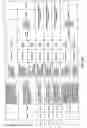 Fig. 201 - Antibacterial phage, phage peptides and methods of use thereof