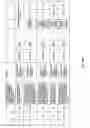 Fig. 202 - Antibacterial phage, phage peptides and methods of use thereof