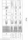 Fig. 205 - Antibacterial phage, phage peptides and methods of use thereof