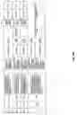 Fig. 207 - Antibacterial phage, phage peptides and methods of use thereof