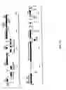 Fig. 209 - Antibacterial phage, phage peptides and methods of use thereof
