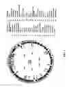 Fig. 28 - Antibacterial phage, phage peptides and methods of use thereof