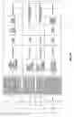 Fig. 30 - Antibacterial phage, phage peptides and methods of use thereof