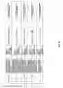 Fig. 33 - Antibacterial phage, phage peptides and methods of use thereof