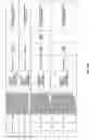 Fig. 64 - Antibacterial phage, phage peptides and methods of use thereof