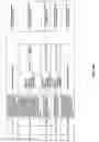 Fig. 65 - Antibacterial phage, phage peptides and methods of use thereof