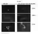 Fig. 05 - CONTROL OF BIOFILM FORMATION