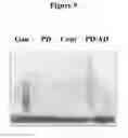 Fig. 10 - COMPOSITIONS AND METHODS FOR THE TREATMENT OF ALTERED ALPHA-SYNUCLEIN FUNCTION