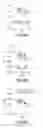 Fig. 09 - METHOD FOR PREVENTING SKIN ELASTICITY LOSS BY SUPPRESSING INCREASE OF SUBCUTANEOUS FAT