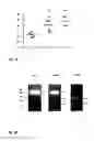 Fig. 02 -  METHOD FOR SELECTING RESPONDERS TO BLOCKADE OF INTEGRIN RECEPTORS
