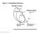Fig. 02 - METHODS OF MANAGING THE BLOOD COAGULATION AND PHARMACEUTICAL COMPOSITIONS RELATED THERETO