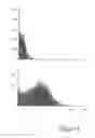 Fig. 09 - AUTOPHILIC ANTIBODIES AND METHOD OF MAKING THE SAME