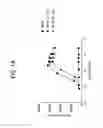 Fig. 02 - FGF21 MUTANTS AND USES THEREOF