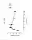 Fig. 76 - FGF21 MUTANTS AND USES THEREOF
