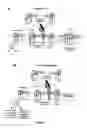 Fig. 06 - MUTANT CyaA POLYPEPTIDES AND POLYPEPTIDE DERIVATIVES SUITABLE FOR THE DELIVERY OF IMMUNOGENIC MOLECULES INTO A CELL
