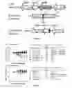 Fig. 05 - Vaccines against tularemia