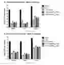 Fig. 11 - Vaccines against tularemia