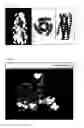 Fig. 04 - Peptidic antigen that induces antibody recognizing three-dimensional structure of HIV and method for synthesizing same