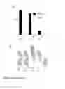 Fig. 03 - VACCINE COMPOSITIONS COMPRISING A MUTATED FACTOR H BINDING PROTEIN