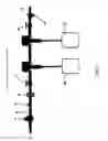 Fig. 02 - Synergy of strong acids and peroxy compounds