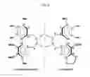 Fig. 07 - BIOLOGICALLY ACTIVE COMPOSITIONS FROM Schisandra chinensis FOR TREATING COLORECTAL CANCER