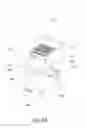 Fig. 04 - Automatic powder recycling apparatus