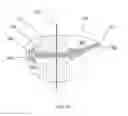 Fig. 02 - Method of cutting ham and product thereof