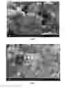 Fig. 02 - Method for preparing porous hydroxyapatite coatings by suspension plasma spraying