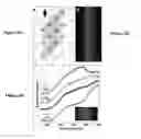 Fig. 09 - MESOSCALE PYRAMIDS, ARRAYS AND METHODS OF PREPARATION