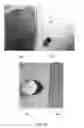 Fig. 14 - Flexible Microfluidic Device with Interconnected Porous Network
