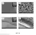 Fig. 16 - Flexible Microfluidic Device with Interconnected Porous Network
