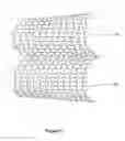 Fig. 12 - Molded fabric and methods of manufacture