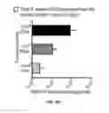 Fig. 14 - Medical device coatings