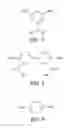 Fig. 04 - Polymeric coating for the protection of objects