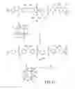 Fig. 05 - Polymeric coating for the protection of objects