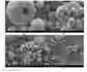 Fig. 01 - NON-SPHERICAL ELECTROACTIVE AGGLOMERATED PARTICLES, AND ELECTRODES AND BATTERIES COMPRISING THE SAME