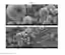 Fig. 02 - NON-SPHERICAL ELECTROACTIVE AGGLOMERATED PARTICLES, AND ELECTRODES AND BATTERIES COMPRISING THE SAME