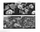 Fig. 03 - NON-SPHERICAL ELECTROACTIVE AGGLOMERATED PARTICLES, AND ELECTRODES AND BATTERIES COMPRISING THE SAME