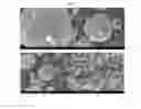 Fig. 04 - NON-SPHERICAL ELECTROACTIVE AGGLOMERATED PARTICLES, AND ELECTRODES AND BATTERIES COMPRISING THE SAME