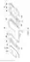 Fig. 02 - BATTERY ROLL AND CENTRAL SOAKING MEMBER THEREOF