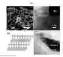 Fig. 02 - Niobium oxide compositions and methods for using same