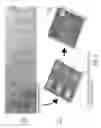 Fig. 04 - Stamps with micrometer-and nanometer-scale features and methods of fabrication thereof