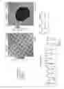 Fig. 08 - Stamps with micrometer-and nanometer-scale features and methods of fabrication thereof