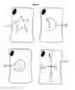 Fig. 09 - FLIP FLASHCARDS